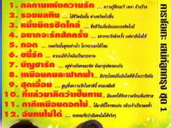 คาราโอเกะ - เสน่ห์ลูกกรุง 1 VCD1749-WEB2